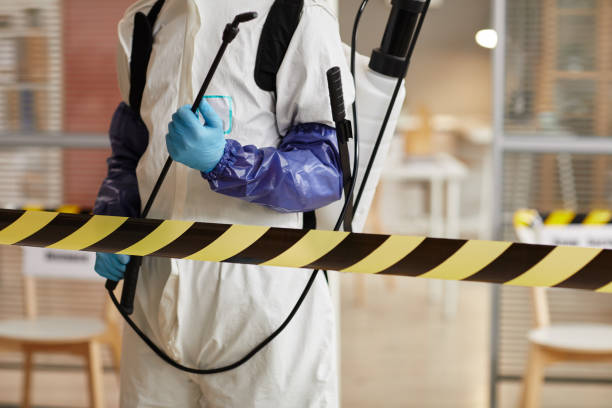 Professional Sewage Cleanup technician working in Krakow, WI